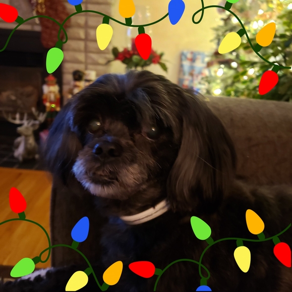 Meet your Posher, Eva - Picture 1 of 1